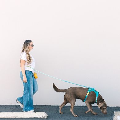 Alexandria Hands-Free Rope Dog Leash 7ft