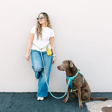 Alexandria Hands-Free Rope Dog Leash 7ft