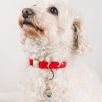 American Bear Pet Collar Charm