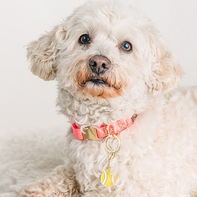 Tennis Ball Pet Collar Charm