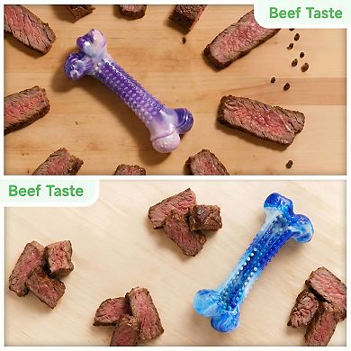FrienHund Beef Flavor Classic Textured Nylon Chew Bone for Dogs, Purple & Blue, 2 Count