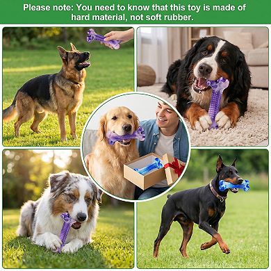 FrienHund Beef Flavor Classic Textured Nylon Chew Bone for Dogs, Purple & Blue, 2 Count