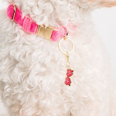 Sunglasses Pet Collar Charm
