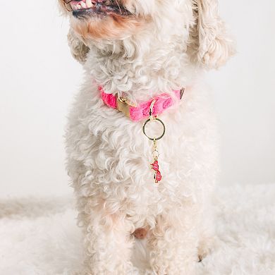Sunglasses Pet Collar Charm