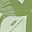 Green Sage Green
