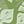 Leaf Sage Green