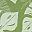 Leaf Sage Green