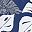 Navy White
