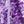 Purple Print