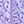 Small Floral Purple