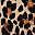 Black Leopard