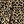 Leopard Print Black