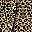 Leopard Print Black