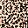 Brown Leopard