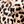 Brown Leopard
