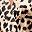 Brown Leopard