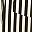 Black Champagne Stripe