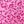 Hot Pink Leopard