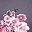 Purple Flower