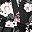 Black Floral