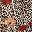Leopard Print