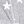 Light Gray Star