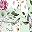 Green Red Floral