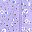 Purple Floral