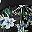 Black Blue Flower