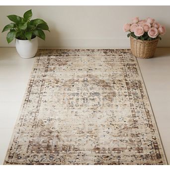Washable Vintage Distressed Area Rug Boho Carpet for Living Room Bedroom Dining Room Office