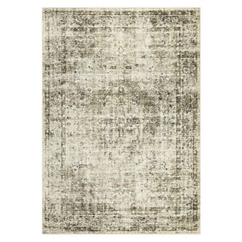 Washable Vintage Distressed Area Rug Boho Carpet for Living Room Bedroom Dining Room Office