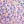 Light Purple Flower