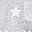 Light Gary Stars