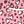 Pink Leopard Love