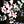 Black Florals