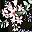 Black Florals