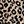 Beige Leopard