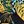 Black Yellow Green