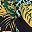 Black Yellow Green