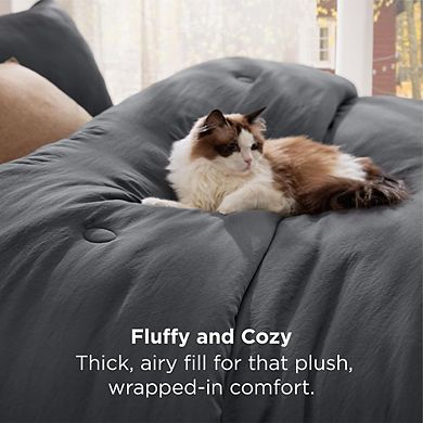 Quilted Down Alternative Comforter Set, Soft Prewashed All-Season Bedding