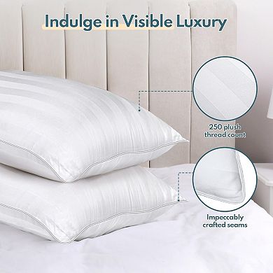 Queen Size Bed Pillows Set of 2 - Premium Down Alternative Breathable Pillows for Side