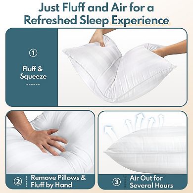 Queen Size Bed Pillows Set of 2 - Premium Down Alternative Breathable Pillows for Side
