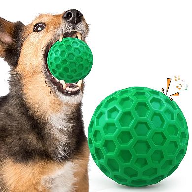 Indestructible Dog Chew Toy