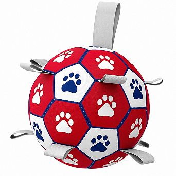 Interactive Dog Soccer Ball