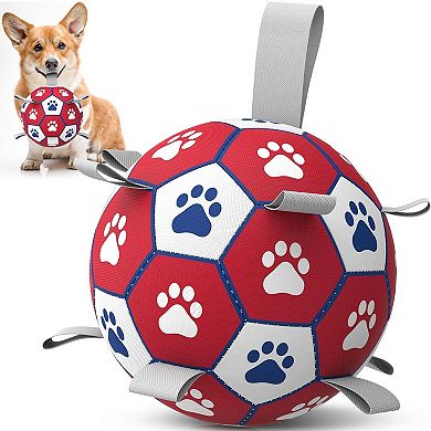 Interactive Dog Soccer Ball