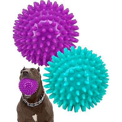 Heavy Duty Dog Balls