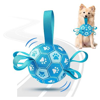 Interactive Dog Soccer Ball