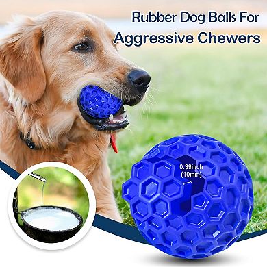 Interactive Dog Chew Toy