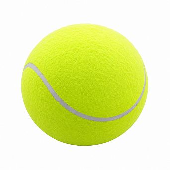 Outdoor Sports Dog Ball
