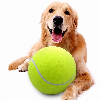 Outdoor Sports Dog Ball